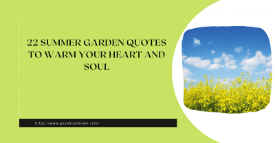 22 Summer Garden Quotes to Warm Your Heart and Soul