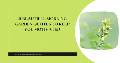 21 Beautiful Morning Garden Quotes to Keep You Motivated