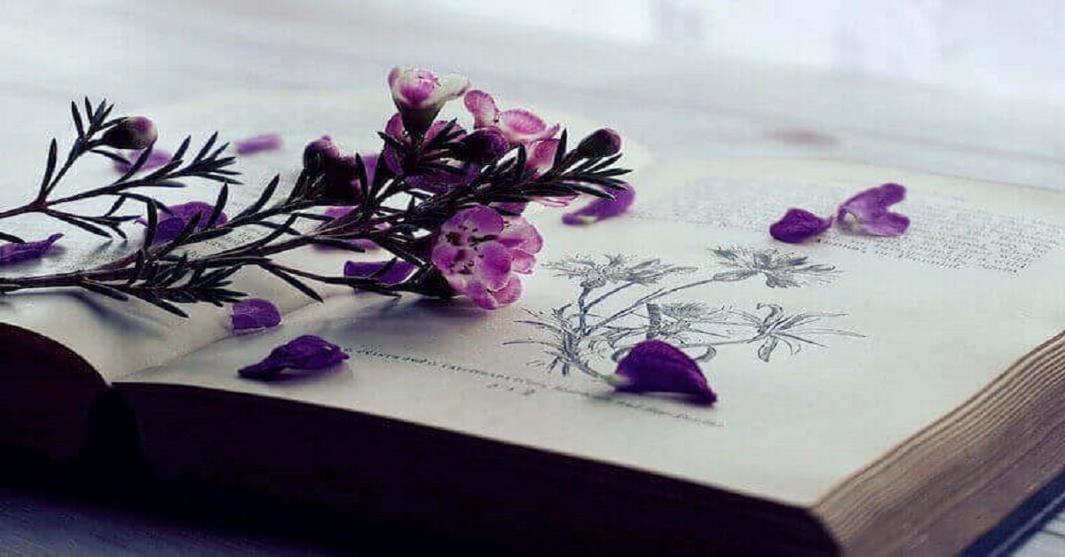3 Short Garden Poems 3 Short Garden Poems