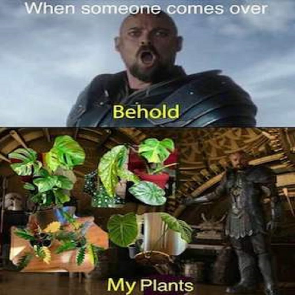 73 Funny Garden Quotes That Will Brighten up Your 2022 73 Funny Garden Quotes That Will Brighten up Your 2022