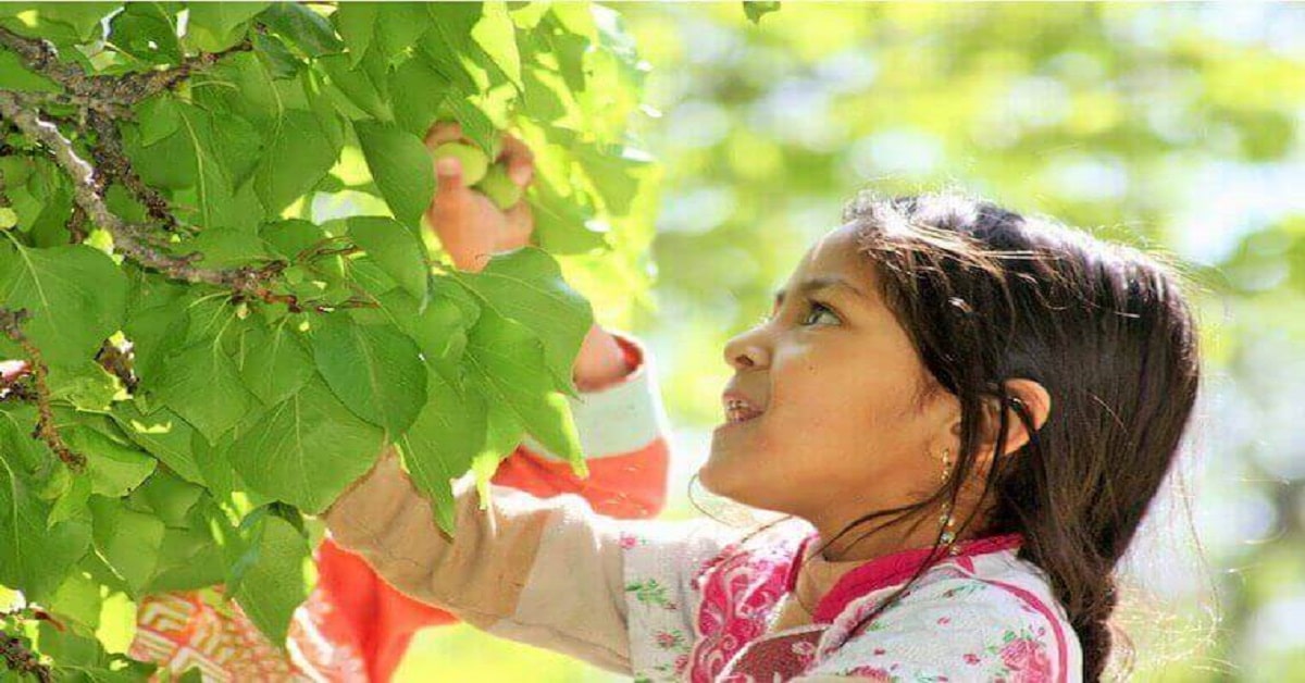 7 Children in Nature Quotes 7 Children in Nature Quotes