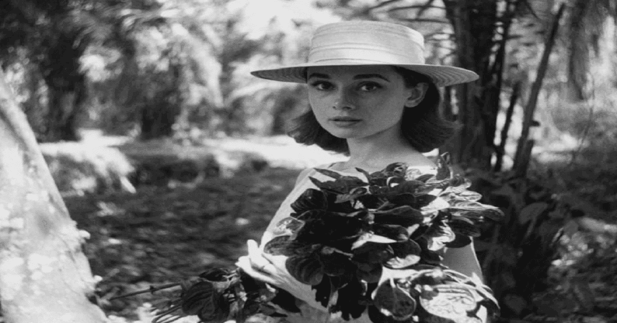 Audrey Hepburn Audrey Hepburn
