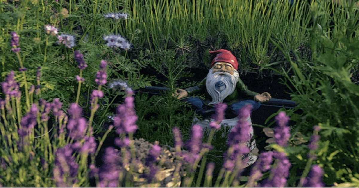 dwarf-statue-meditating-in-a-garden dwarf-statue-meditating-in-a-garden