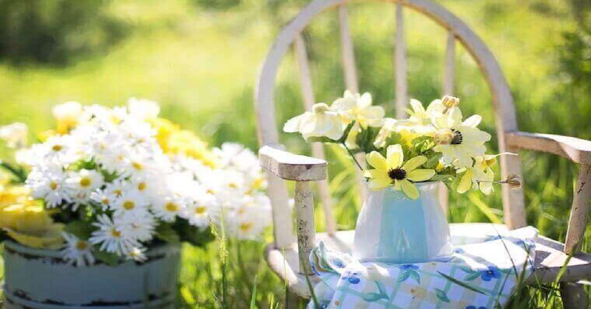 Life is like a garden. You plant some seeds, pull some weeds, then finally enjoy your harvest! Here are 29 garden quotes about life to be the best you can be. Life is like a garden. You plant some seeds, pull some weeds, then finally enjoy your harvest! Here are 29 garden quotes about life to be the best you can be.