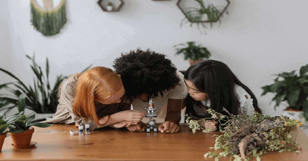 girls looking through a microscope girls looking through a microscope