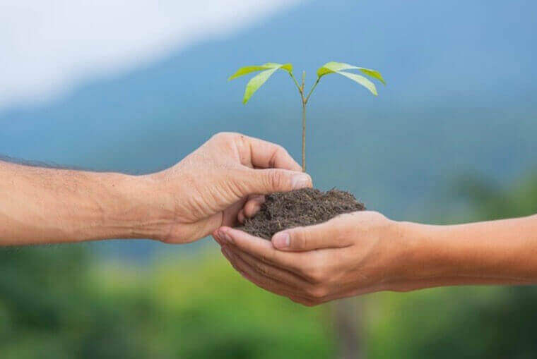 hand passing a sapling to another hand with soil in the receiving hand