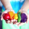 hands holding red, orange, yellow, green, and violet assorted vegetables