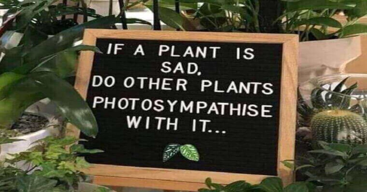 Life quote Life quote