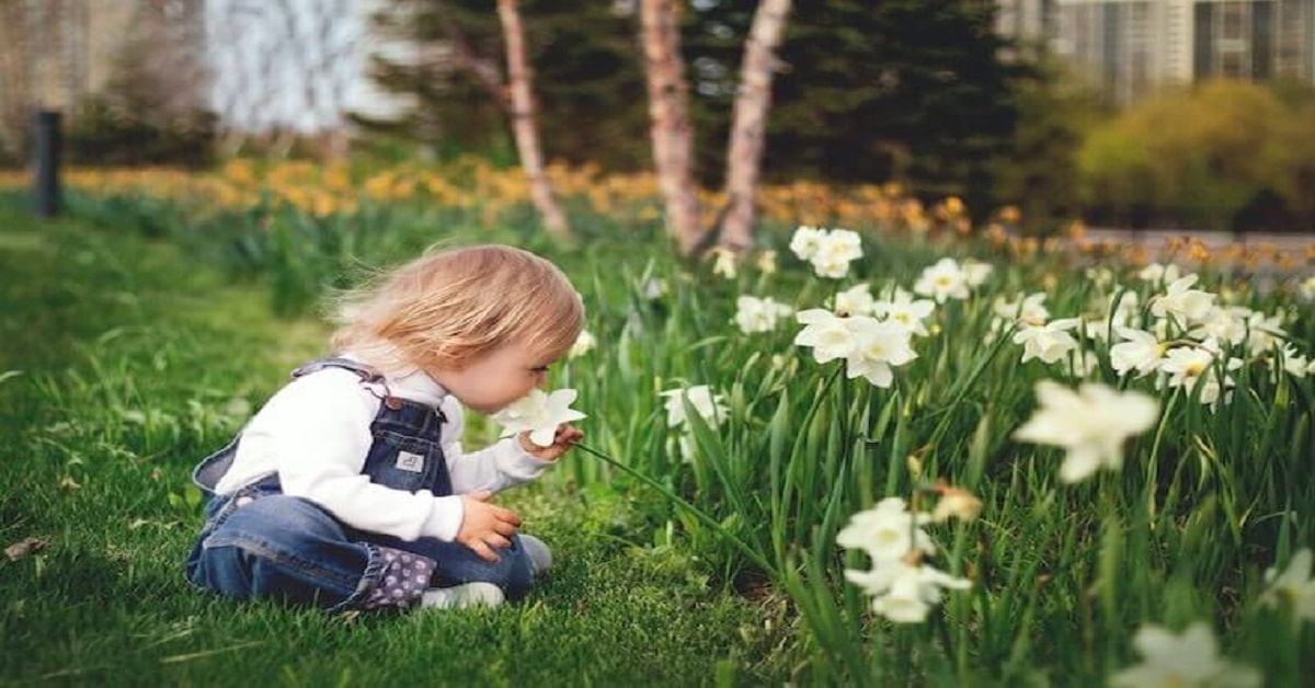 Love Is Like a Garden Quotes Love Is Like a Garden Quotes