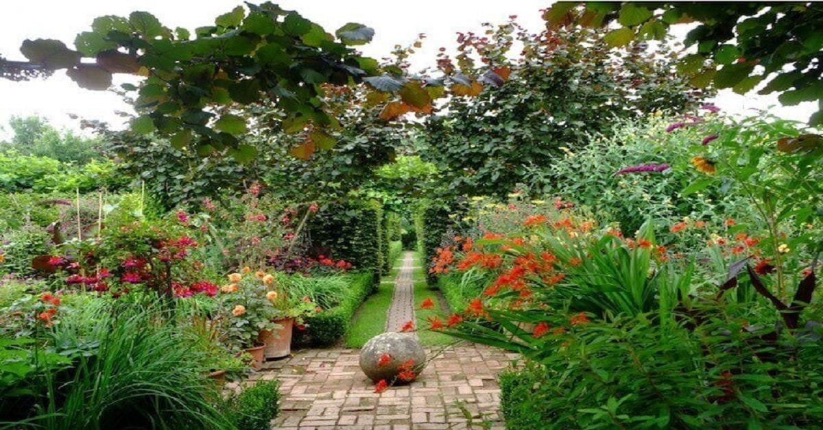 Monty Don’s garden Monty Don’s garden