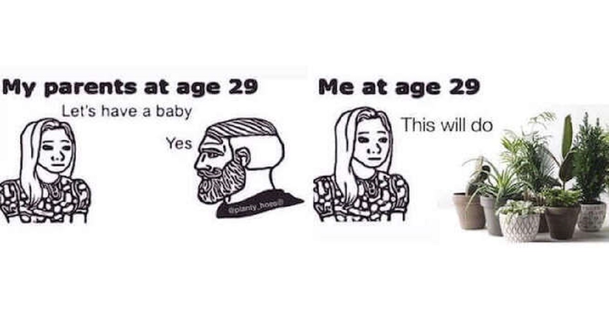 My parent at 29, me at 29 memes, witty garden quotes My parent at 29, me at 29 memes, witty garden quotes