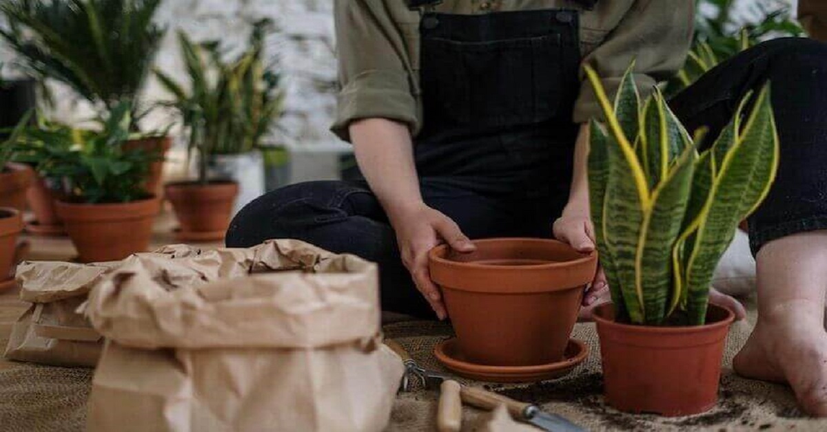 No occupation is so delightful to me as the culture of the earth, and no culture comparable to that of the garden No occupation is so delightful to me as the culture of the earth, and no culture comparable to that of the garden