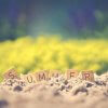 summer letter cube on sand with a blurry background