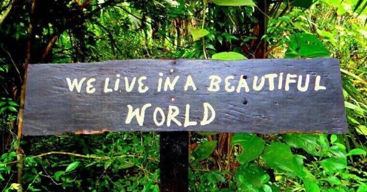 We live in a Beautiful world We live in a Beautiful world