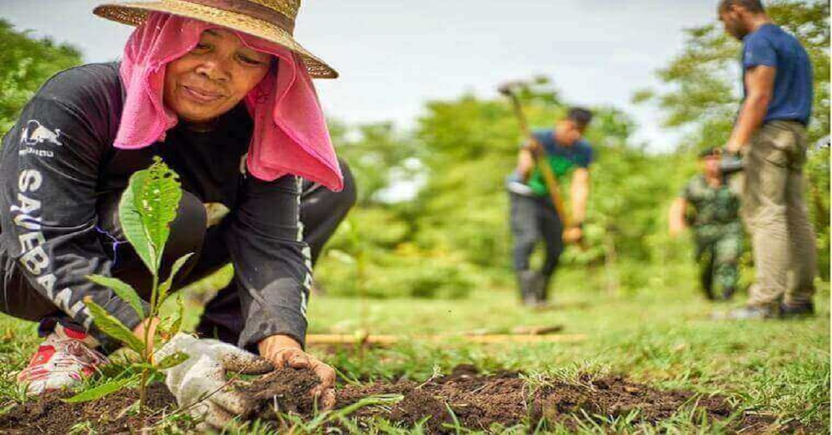 Woman planting