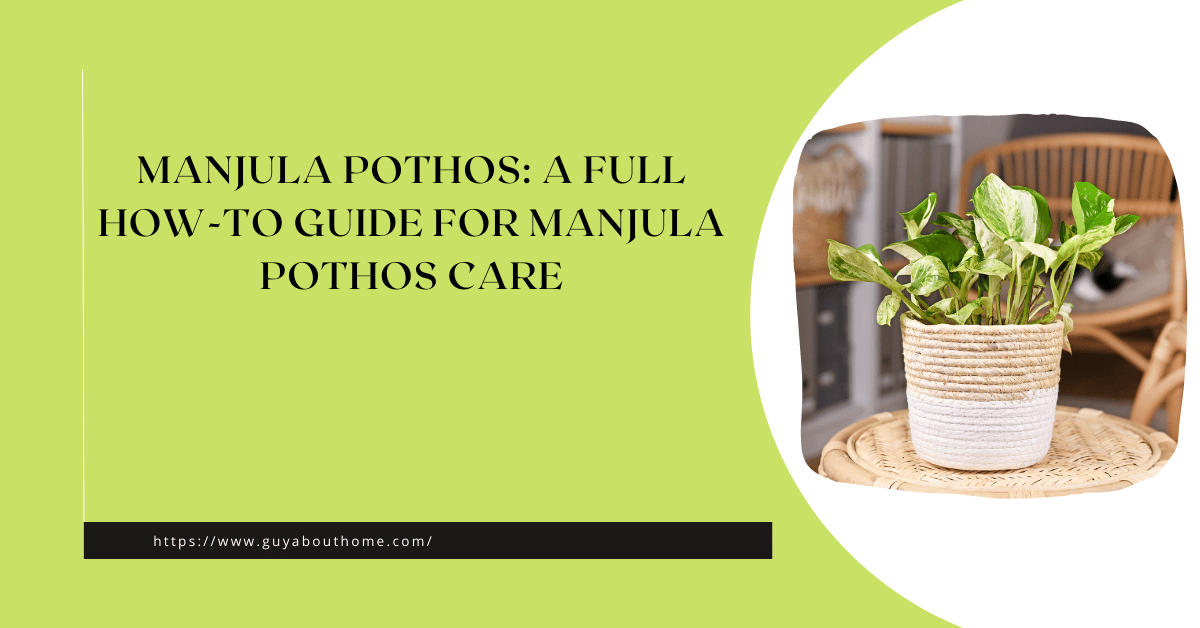Manjula Pothos A Full How-to Guide for Manjula Pothos Care
