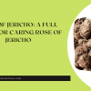 Rose of Jericho: A Full Guide For Caring Rose of Jericho