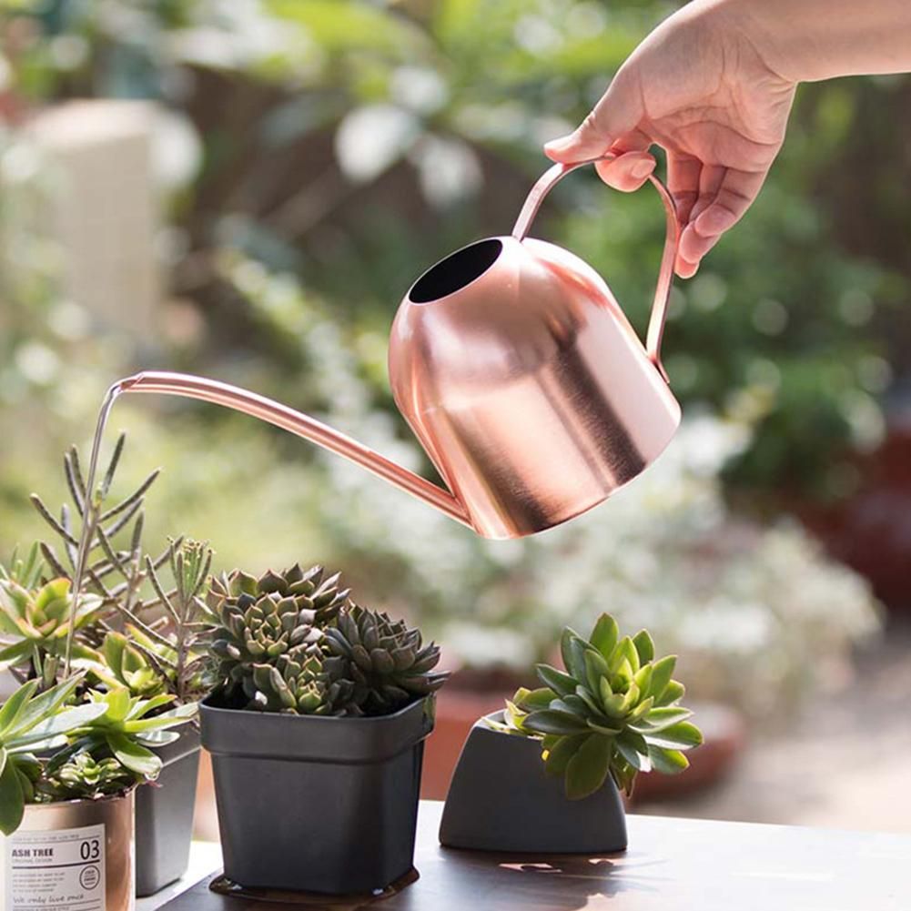 Deep Watering