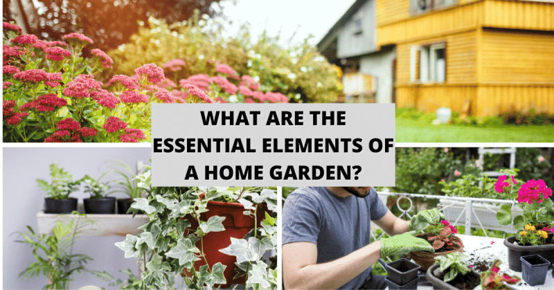 What are the essential elements of a home garden