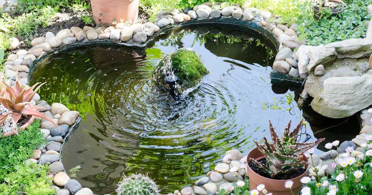 build a natural pond build a natural pond