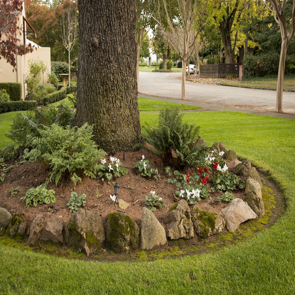 Front Yard Design With Large Rocks Front Yard Design With Large Rocks