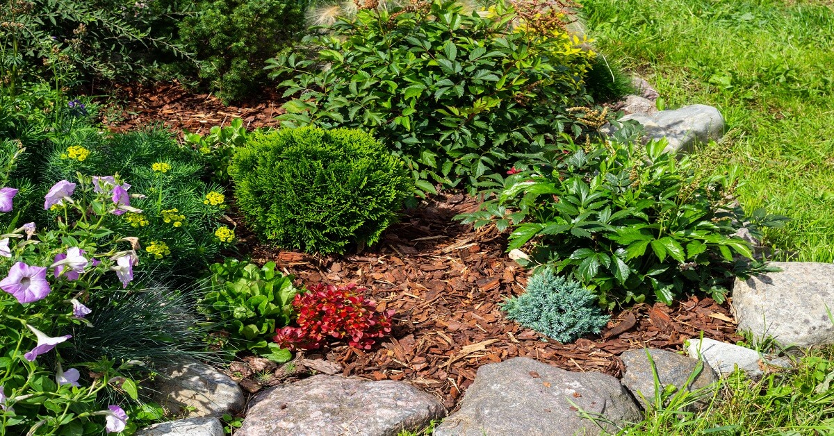 Front Yard Designed With Rocks And Mulch Front Yard Designed With Rocks And Mulch