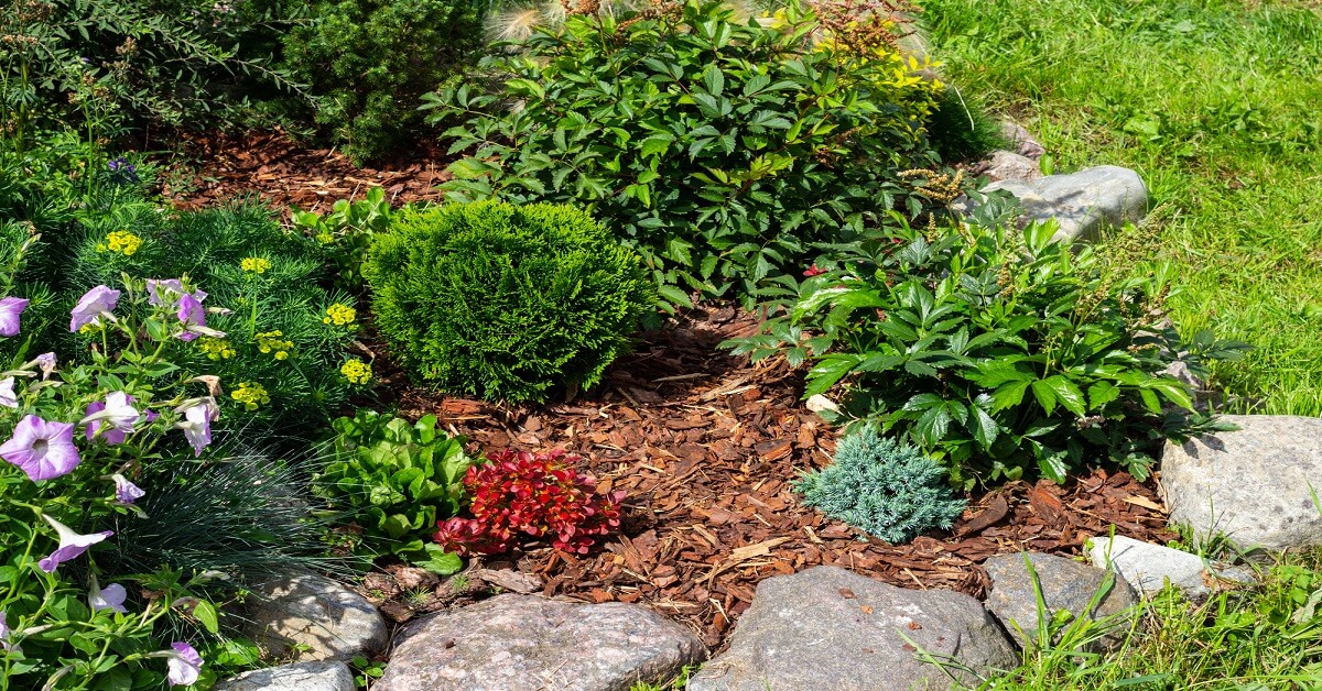 7 Best Front Yard Landscaping Ideas With Rocks and Mulch to Make Your Space Look Much Better