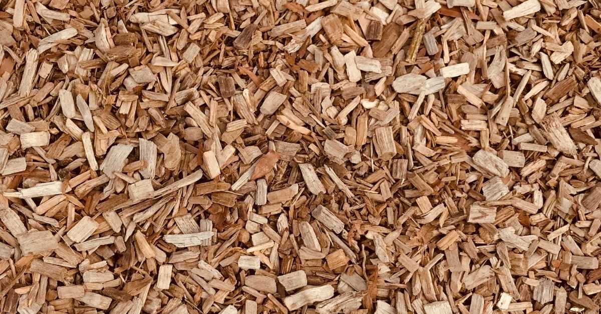 mulch to enhance looks mulch to enhance looks