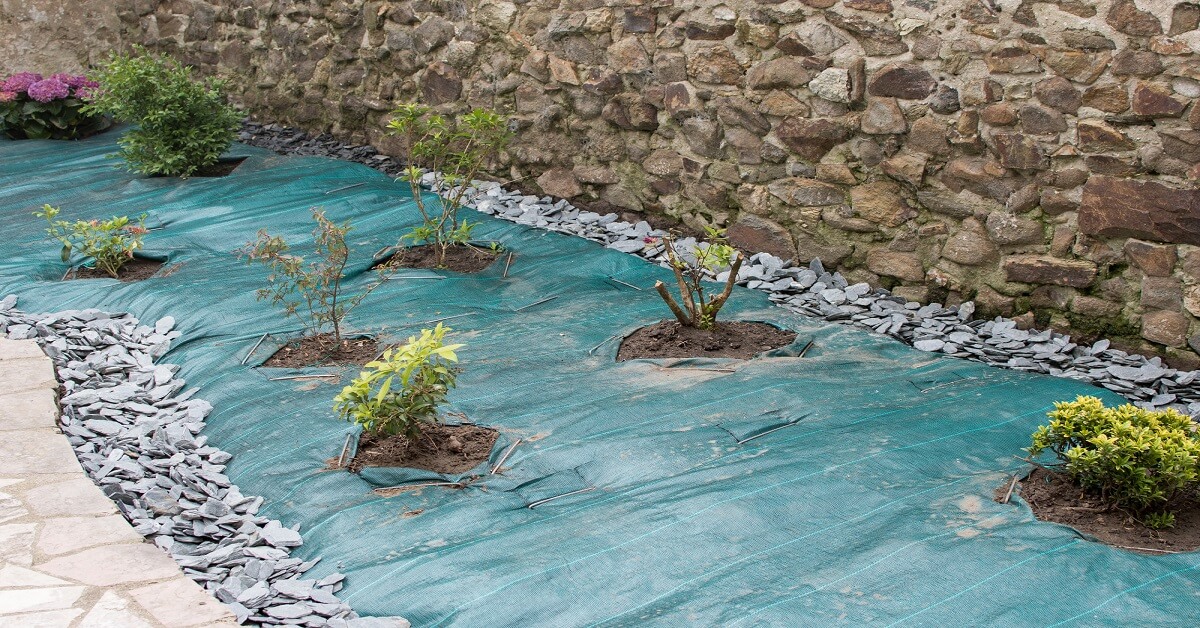 Simple Front Yard Design Simple Front Yard Design