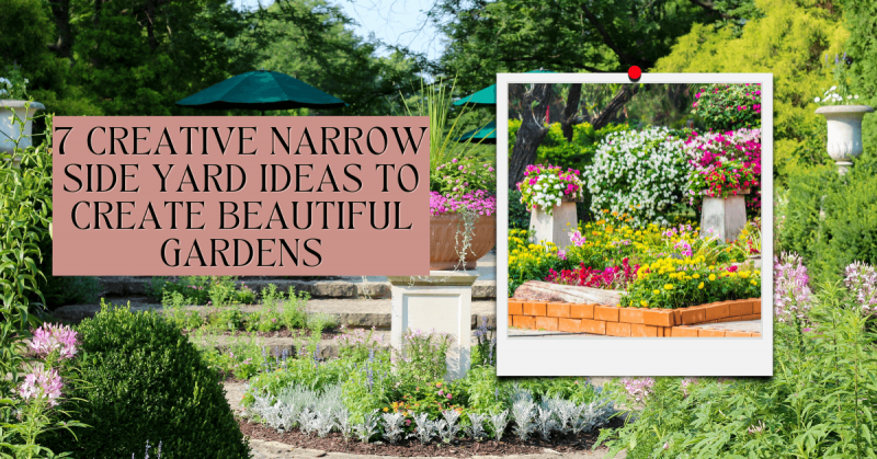 7 Creative Narrow Side Yard Ideas to Create Beautiful Gardens