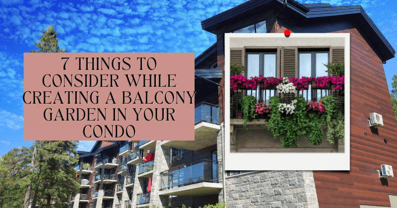 7 Things to Consider While Creating a Balcony Garden in Your Condo