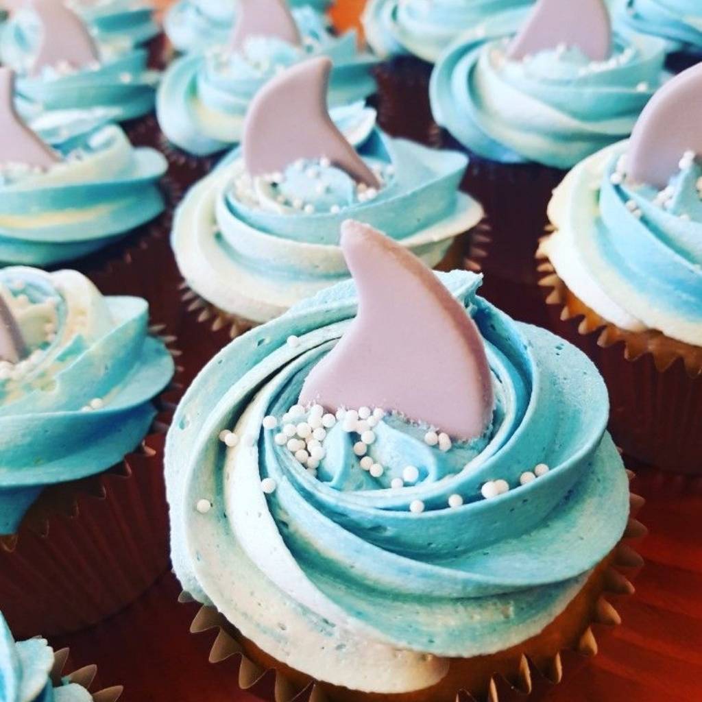 Shark cupcake