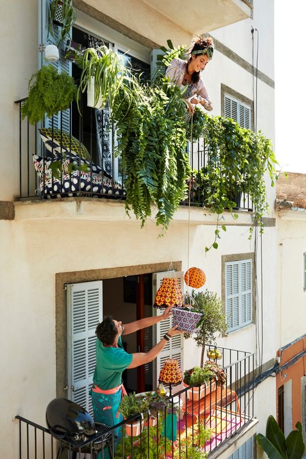Why Do Balcony Gardening