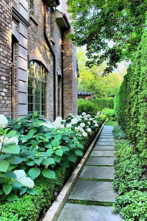 Ideas For Shady Side Yard Ideas Ideas For Shady Side Yard Ideas