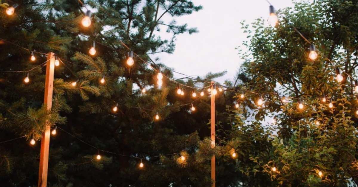 Lightning (it’s everything) Lightning (it’s everything)