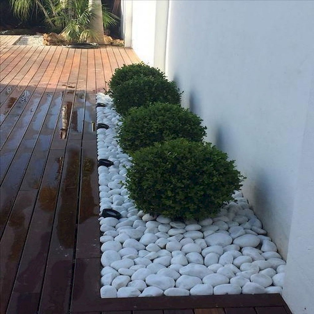 Plants surrounded with white pebbles