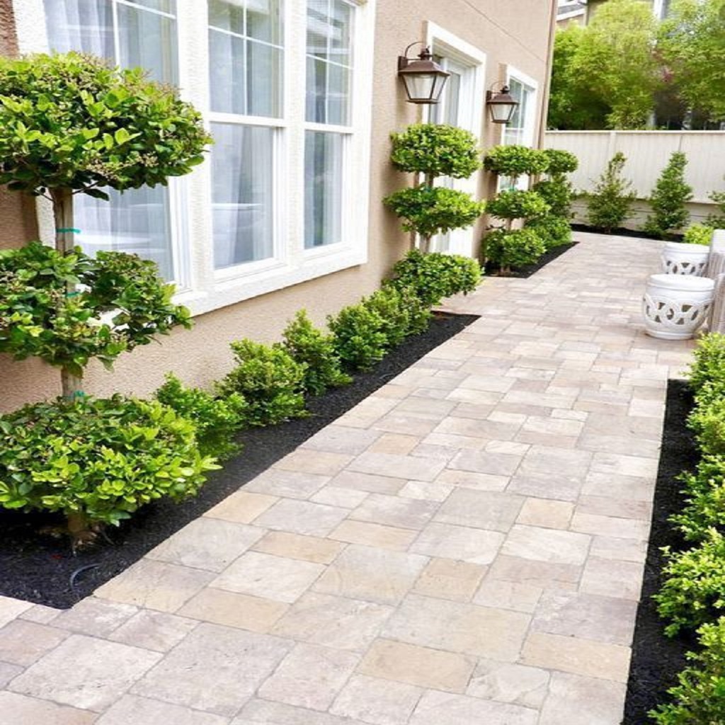 Side yard plants and rustic tiles Side yard plants and rustic tiles