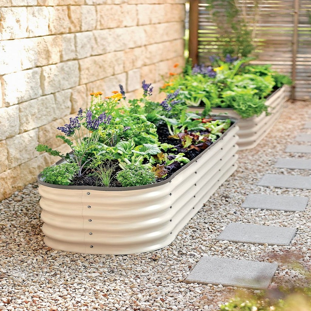 Side yard plants in containers Side yard plants in containers