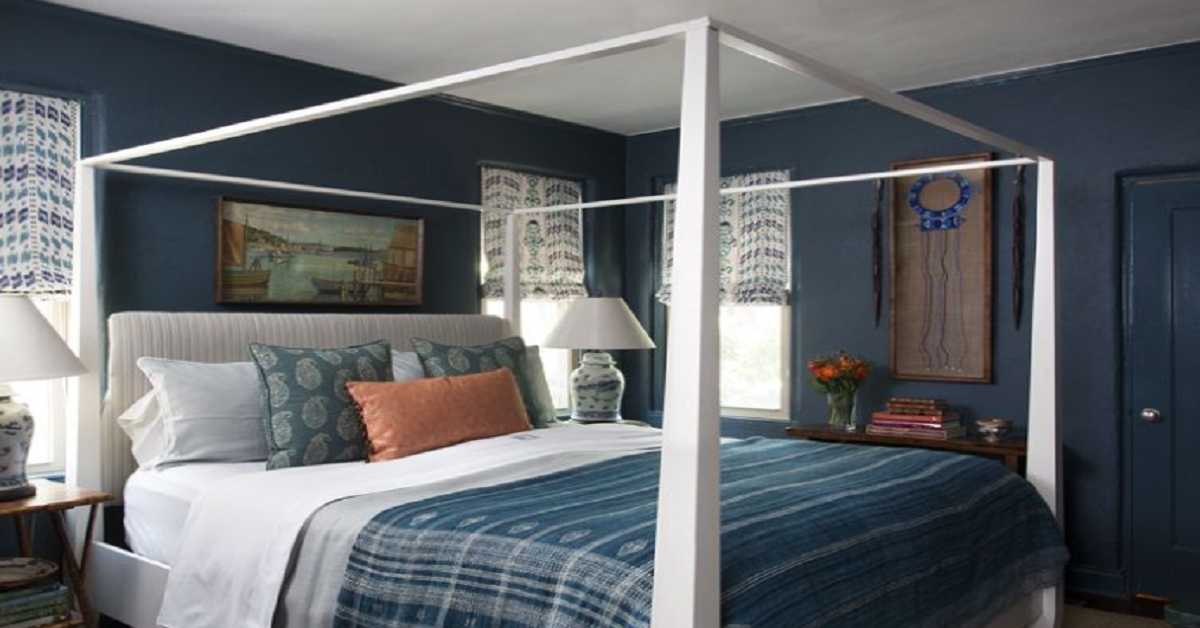 Striking indigo walls Striking indigo walls