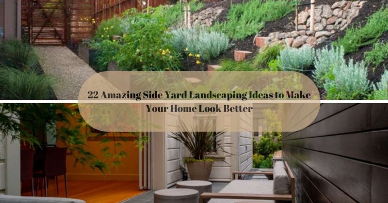 22 Amazing Side Yard Landscaping Ideas to Make Your Home Look Better