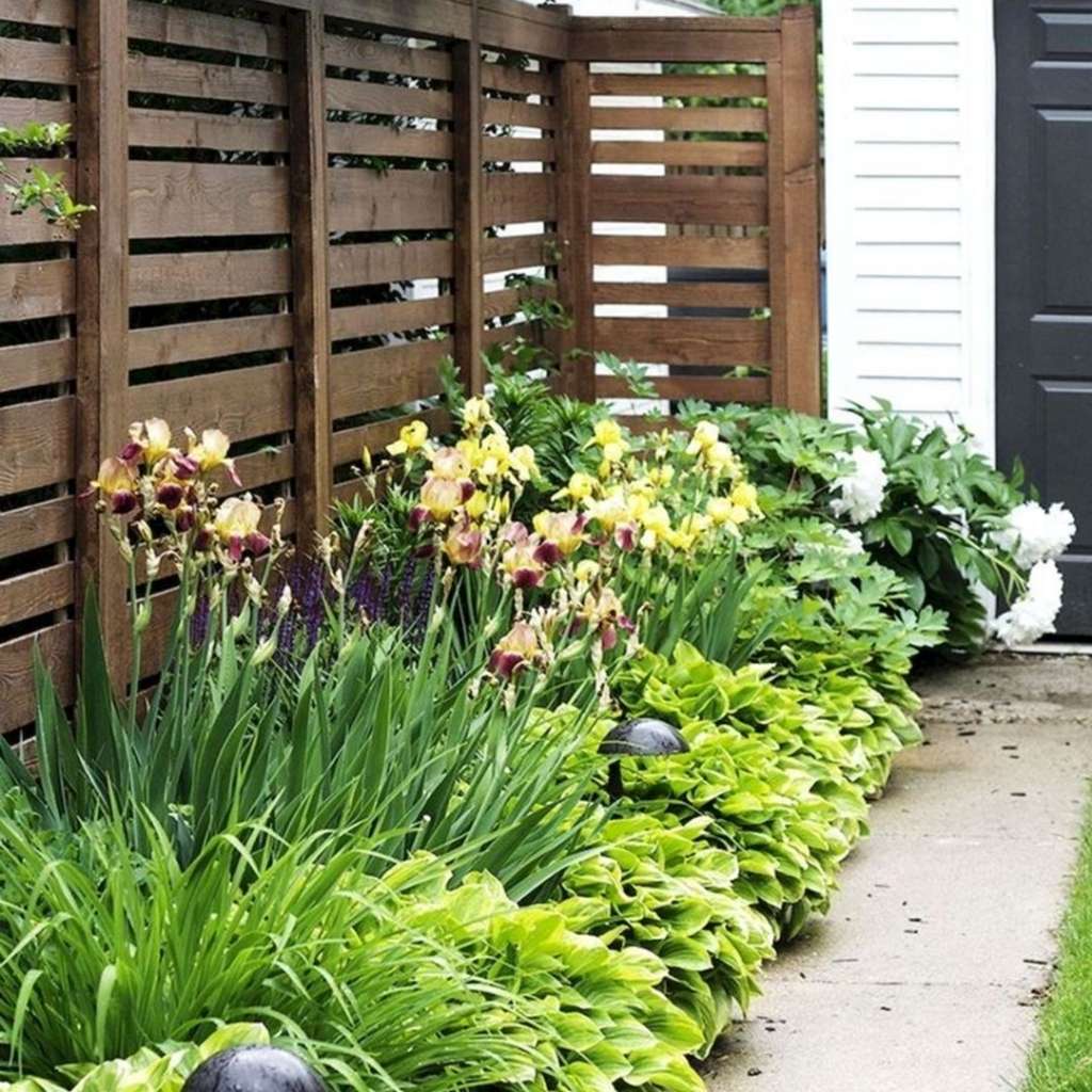 landscaping ideas for side yard privacy
