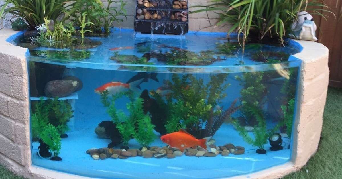 Outdoor fish aquarium