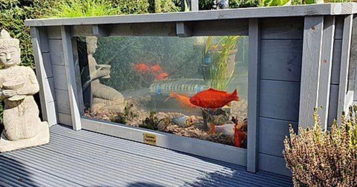 Outdoor garden aquarium