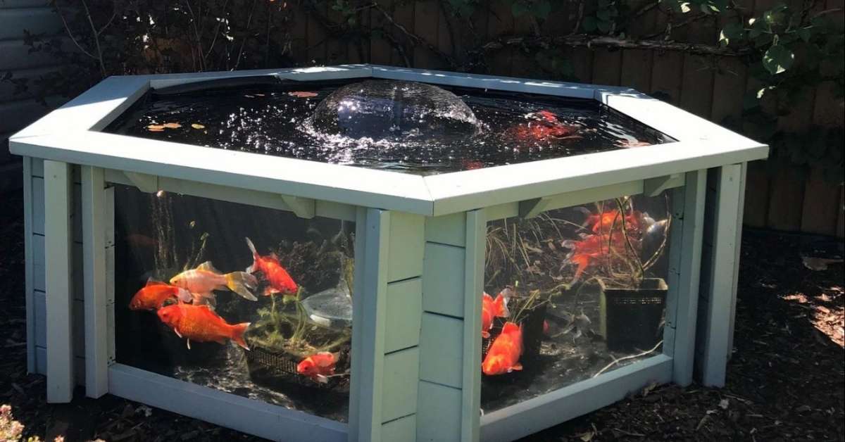 Outdoor patio aquarium