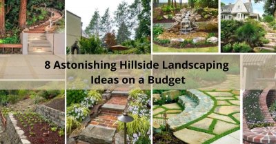 8 Astonishing Hillside Landscaping Ideas on a Budget