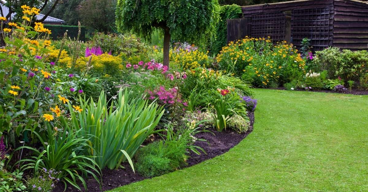 Front Yard Hillside Landscaping Ideas on a Budget