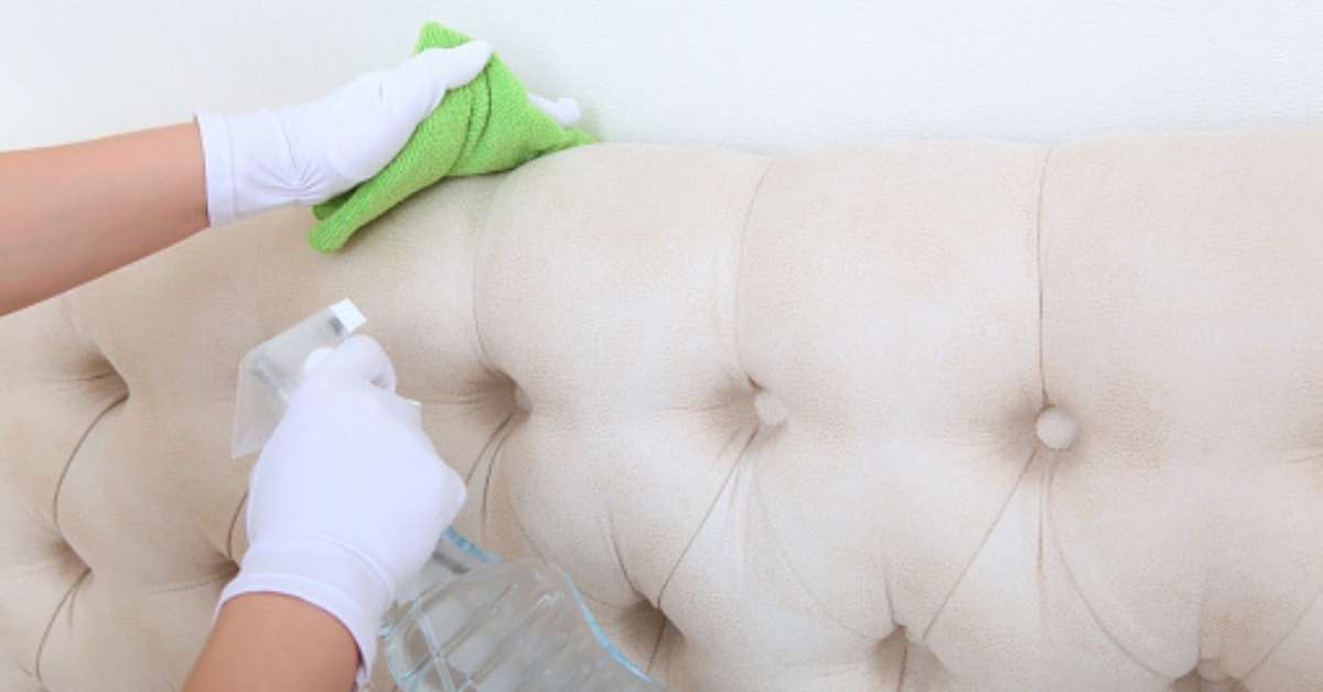 Image showing how to deodorize suede couch using vinegar and water solution