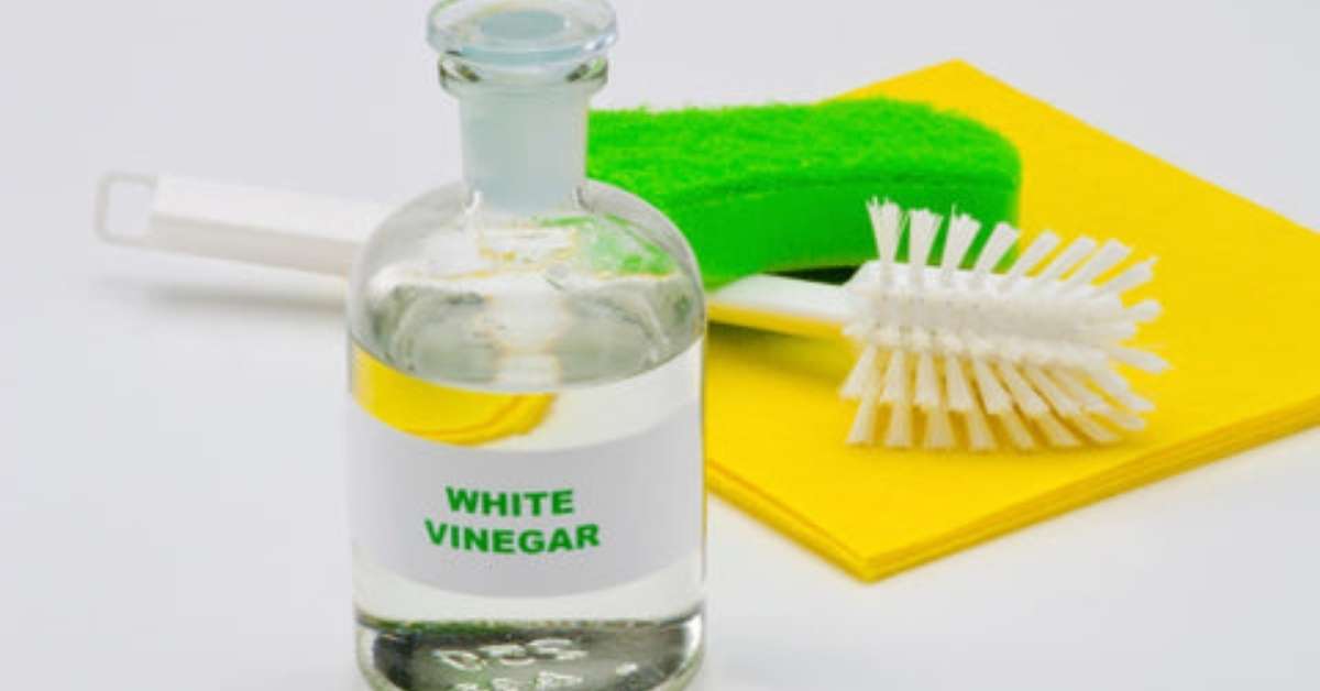 a lady cleaning shower screen with WD-40 Image showing vinegar, brush, and cloth for cleaning shower screen