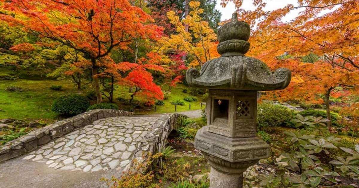 Japanese Plants Japanese Plants