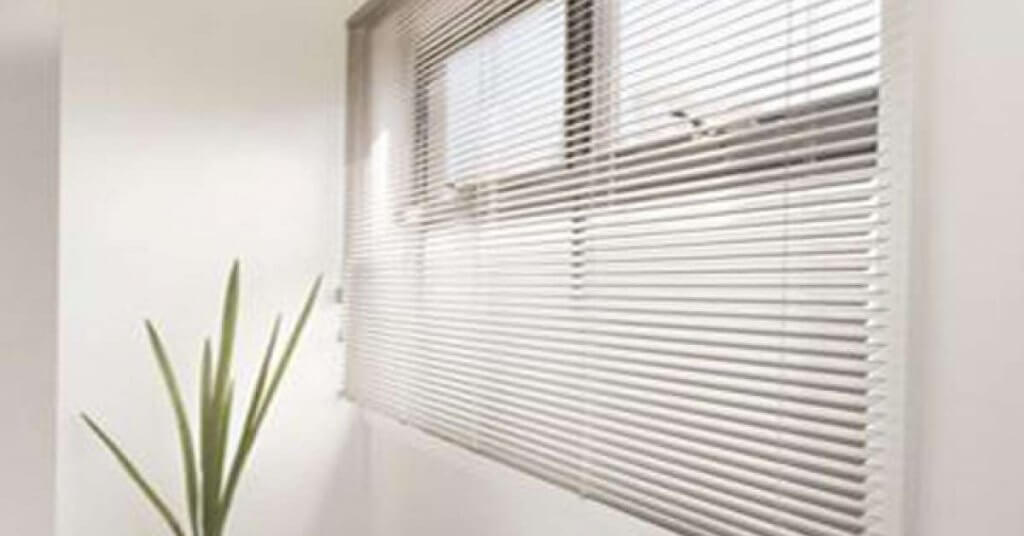 Kim and Aggie Stain Removal Solution Guy About Home